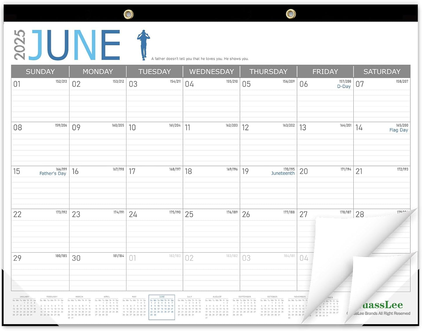Large 19-Month Academic Desk Calendar - Jun. 2025 to Dec. 2026 - Stay Organized!