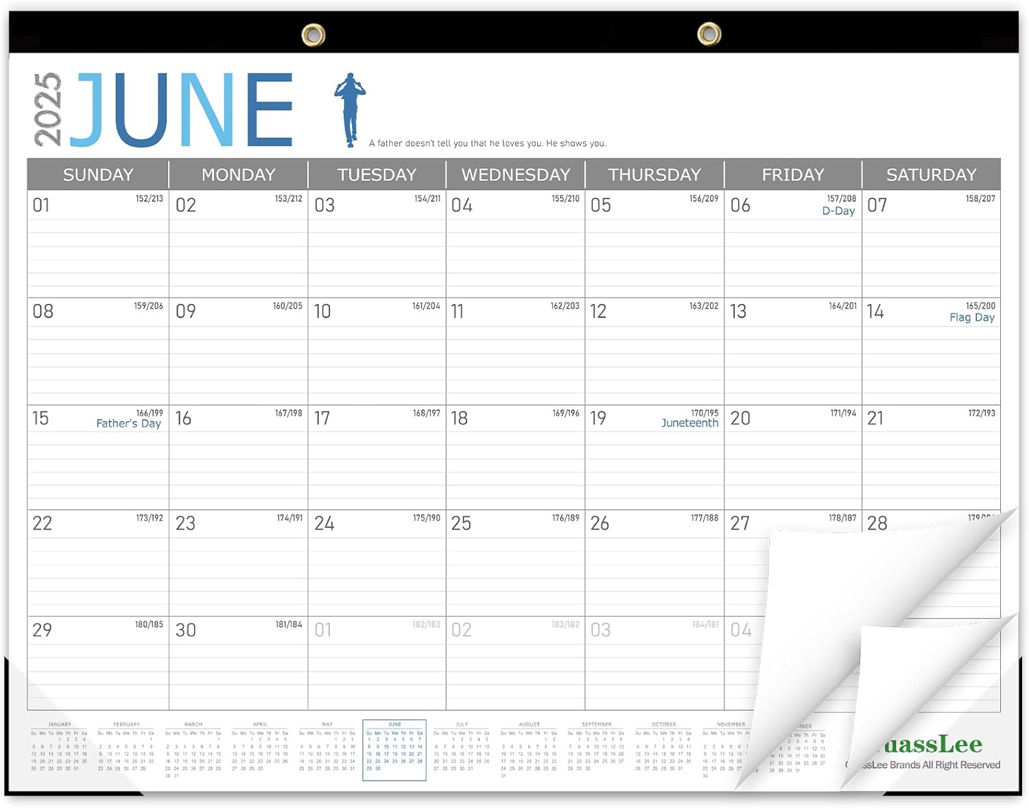 Large 19-Month Academic Desk Calendar - Jun. 2025 to Dec. 2026 - Stay Organized!