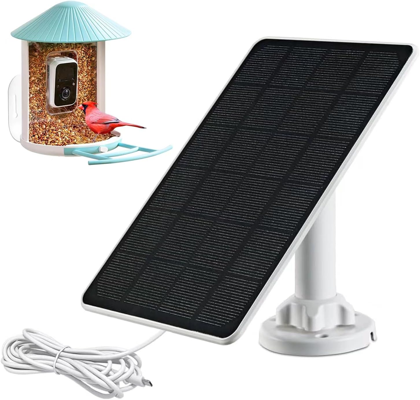 Uninterrupted Power for Bird Cam 
