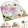 Baby Play Gym with 4 Developmental Zones for Newborns