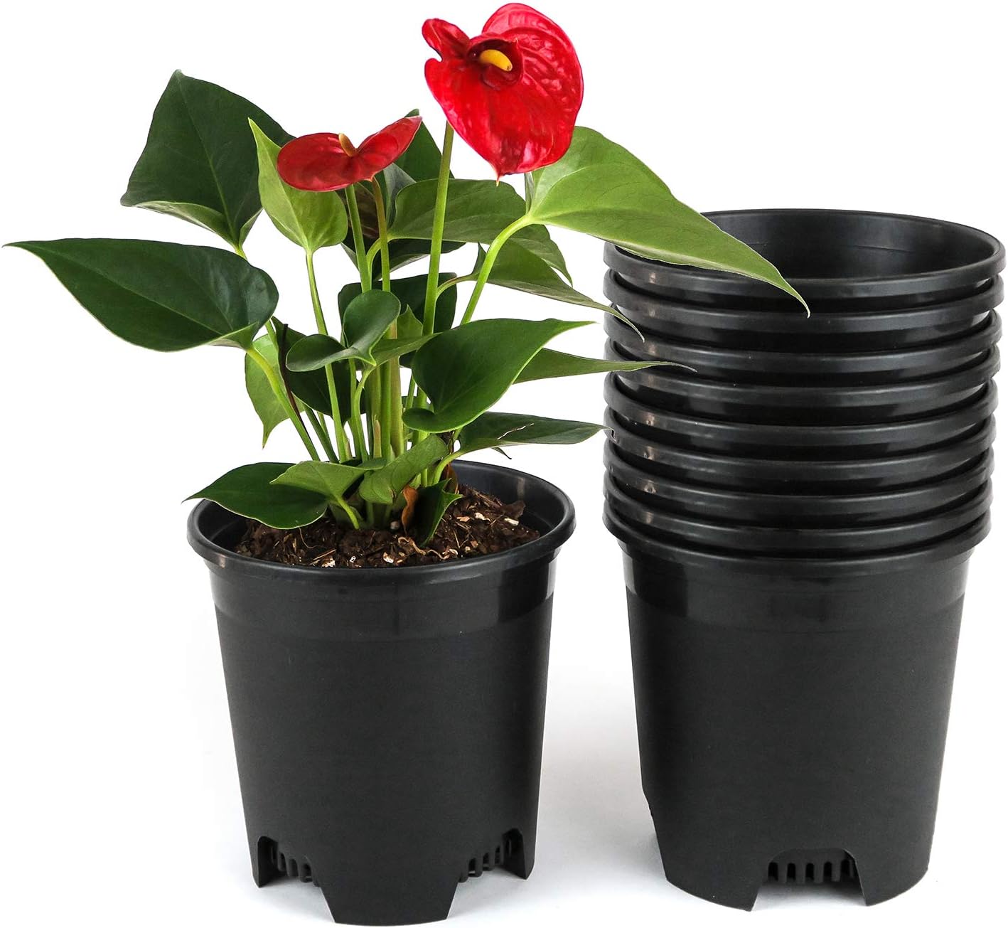 Bulk Nursery Pots 5.5 Inch Black Plastic Planters 30-Pack