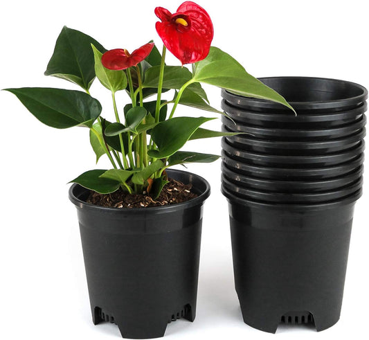 Bulk Nursery Pots 5.5 Inch Black Plastic Planters 30-Pack