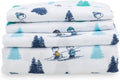 Berkshire Blanket Peanuts Kids Sheet Set Queen Size - Cozy Snoopy