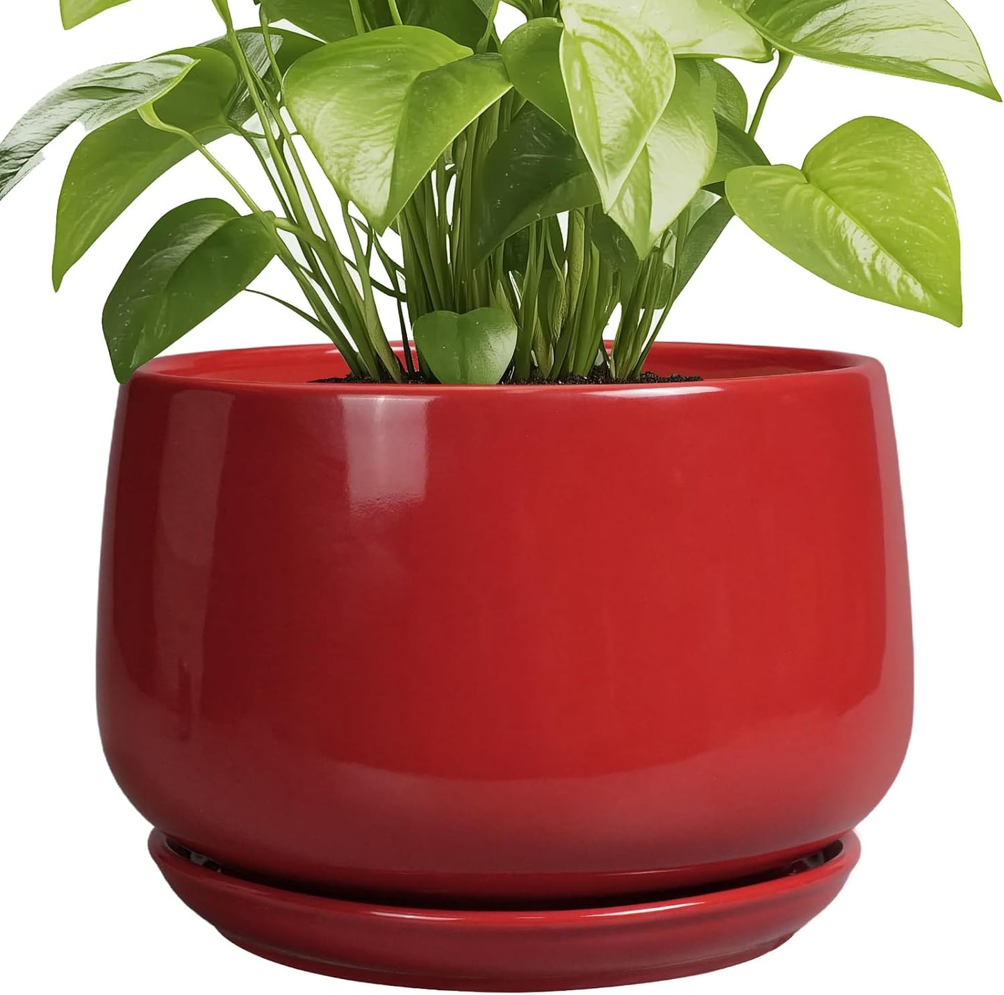G EPGardening 9 Inch Ceramic Plant Pots for Indoor Outdoor Use