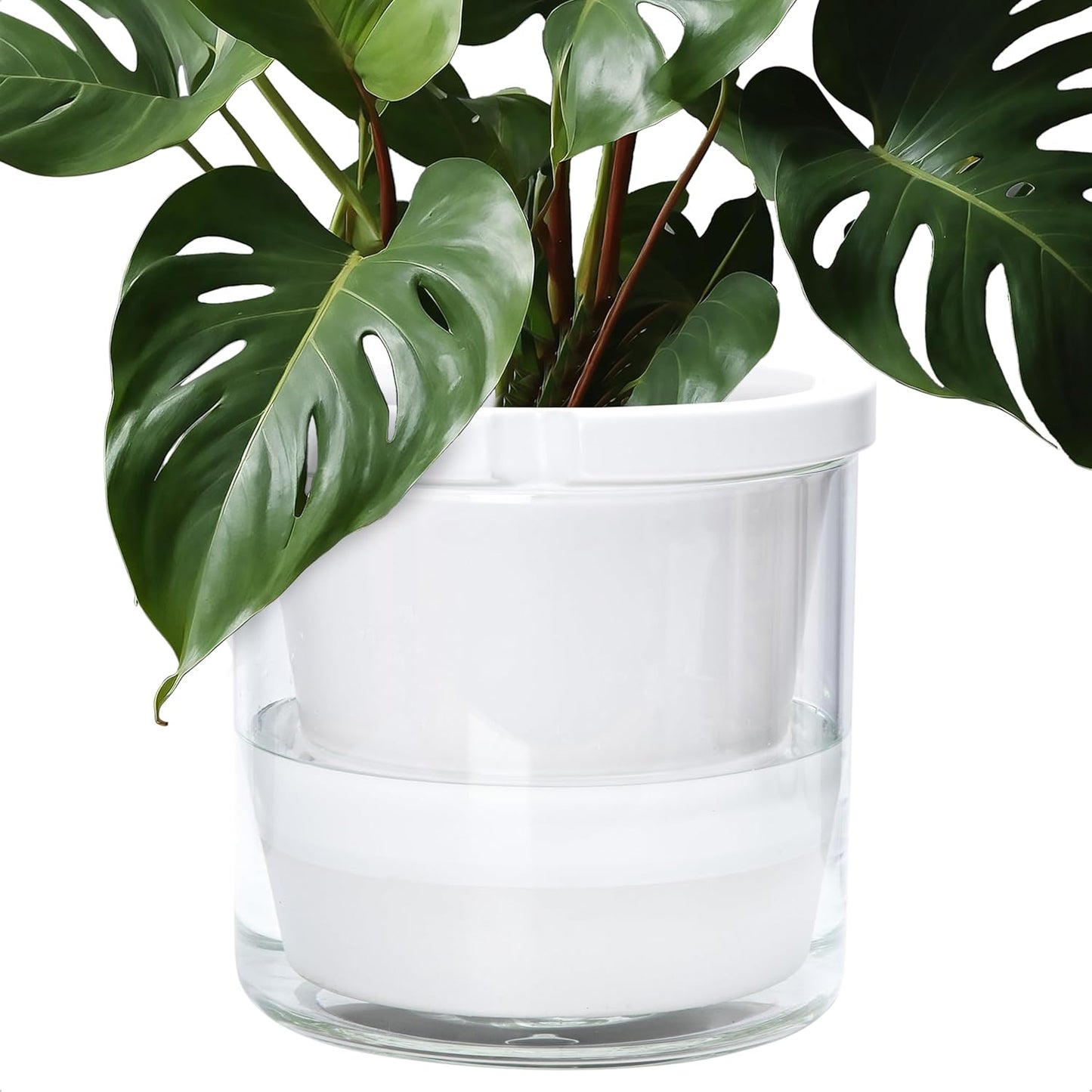 D'vine Dev 10 Inch Self Watering Planter for Indoor Plants