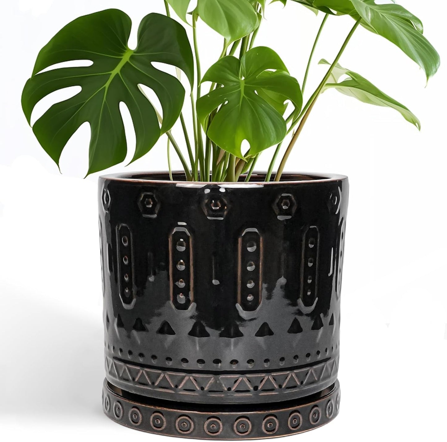 Ceramic Planter for Indoor Plants - 10 Inch Decorative Pot