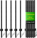Metal Fence Post 4 Feet Black for Lawn Garden Wire Fencing
