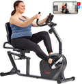 Smart Heavy-Duty Recumbent Bike for Joint Health & Comfort