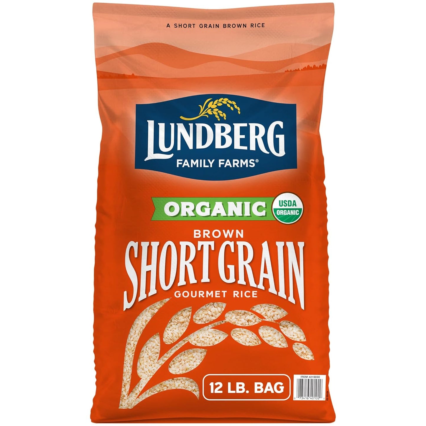 Organic Short Grain Brown Rice Bulk Bag for Versatile Cooking