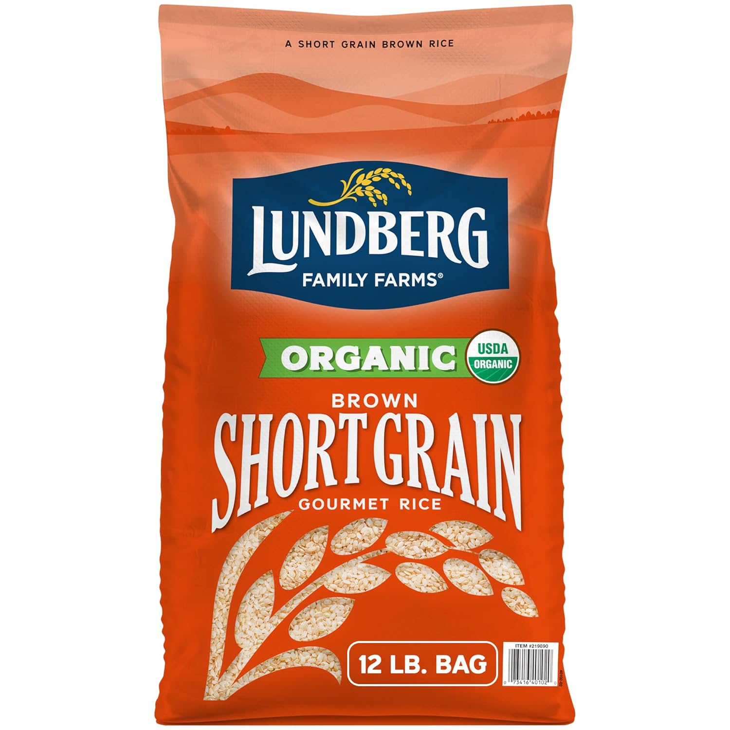 Organic Short Grain Brown Rice Bulk Bag for Versatile Cooking