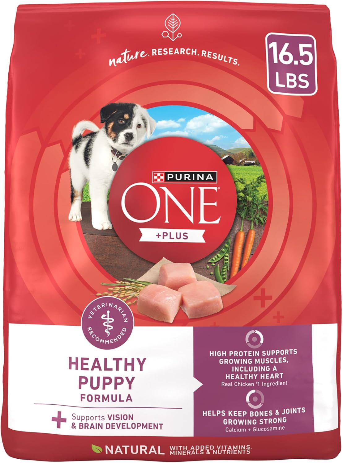 Purina ONE Plus Healthy Puppy Formula High Protein Dry Food