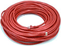 Cat6 100FT 24AWG UTP Ethernet Cable - High-Speed Red
