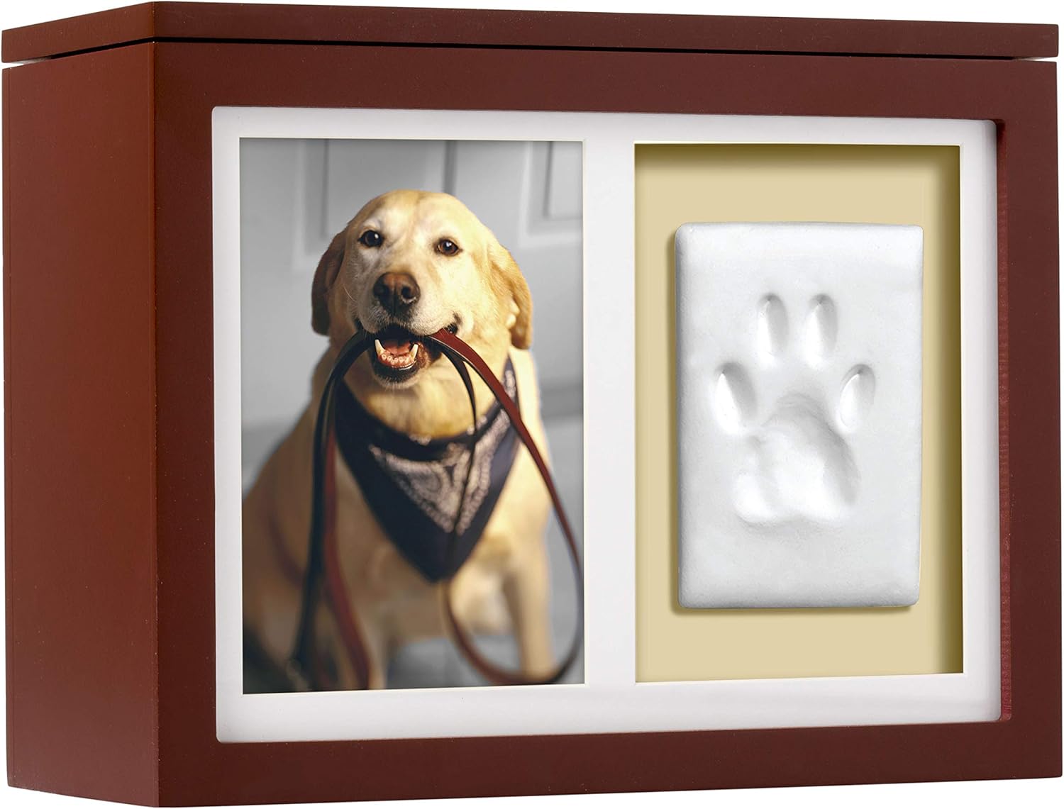 Pearhead Pet Photo Memory Box and Impression Kit for Pets