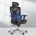 FLEXISPOT ErgoX Premium Ergonomic Office Chair Black - Adjustable
