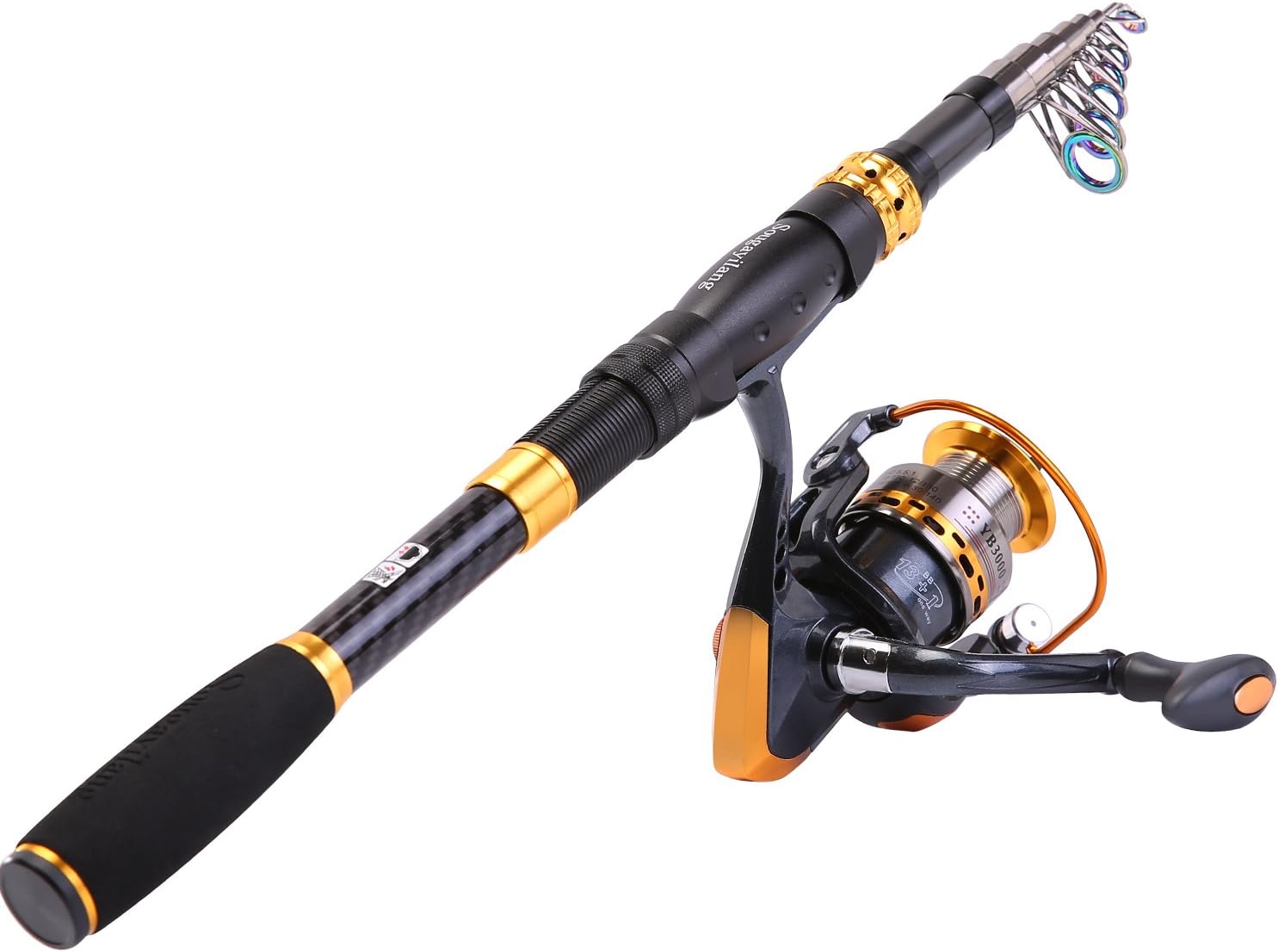 Sougayilang Fishing Rod Reel Combos for Travel Fishing Fun