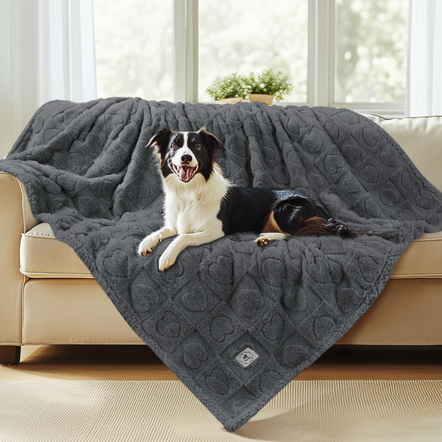 Waterproof Dog Blanket for Medium Large Dogs by Luciphia