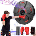 Wireless Smart Music Boxing - Home Gym Champion