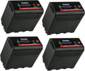 Kastar Magic NP-F980Exp Battery 4-Pack - USB Charged, High Capacity