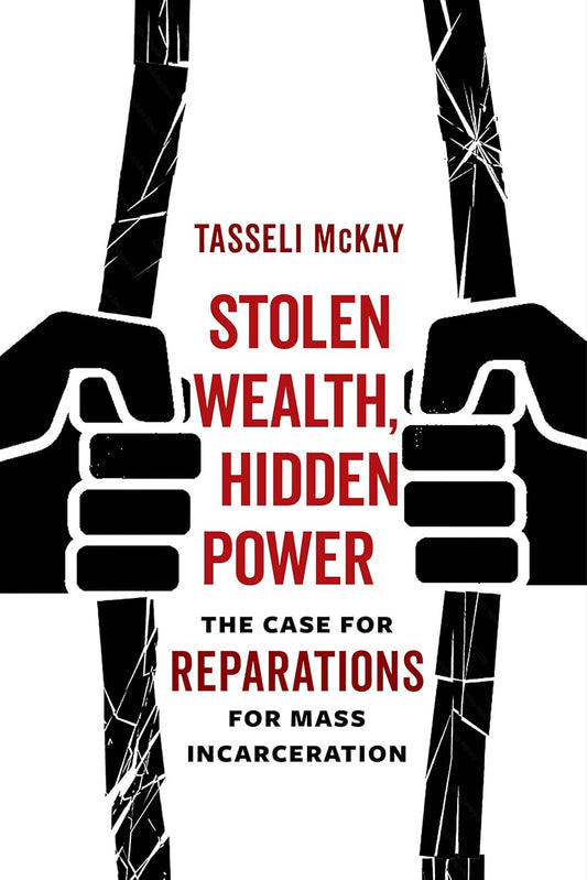 Stolen Wealth, Hidden Power: The Case for Reparations Review