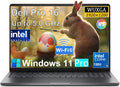 Dell Pro16 Premium Business Laptop 16in FHD+ - Professional Power
