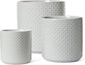Ceramic Plant Pots Indoor Set of 3 - 10/8/6 in Trio Planters