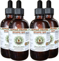 Alcohol-Free Huang Qin Liquid Extract for Holistic Wellbeing