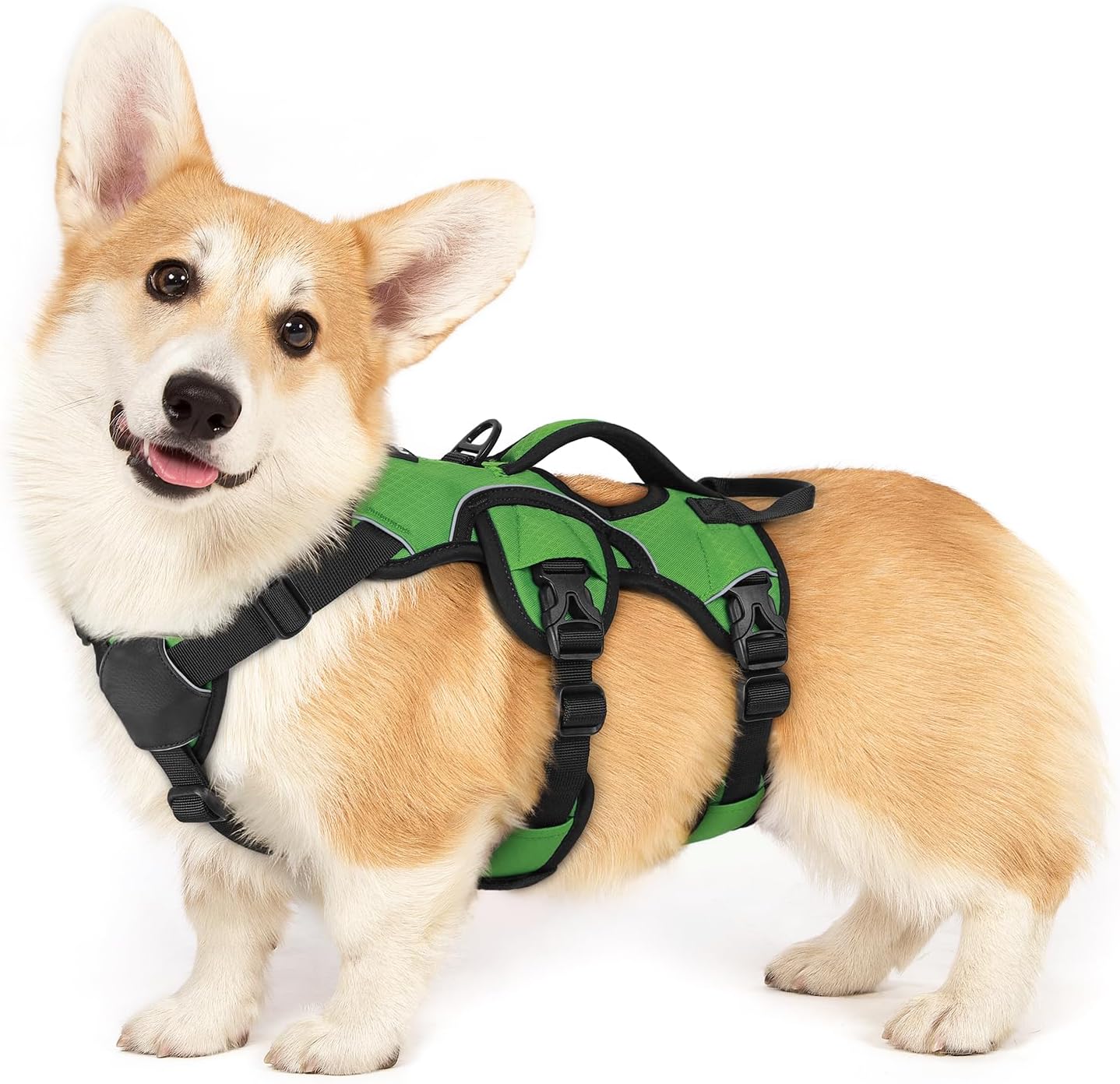 Escape Proof Dog Harness for Large Dogs by rabbitgoo - Green
