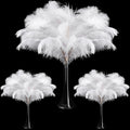 Large Natural Ostrich Feathers 90 Pc Set - Bulk White Feathers