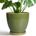 8 Inch Ceramic Planter with Drainage Hole and Tray for Home Decor