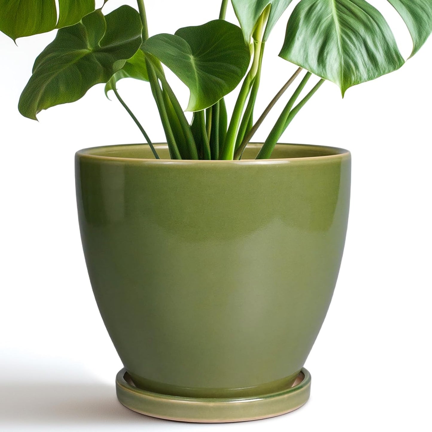 8 Inch Ceramic Planter with Drainage Hole and Tray for Home Decor