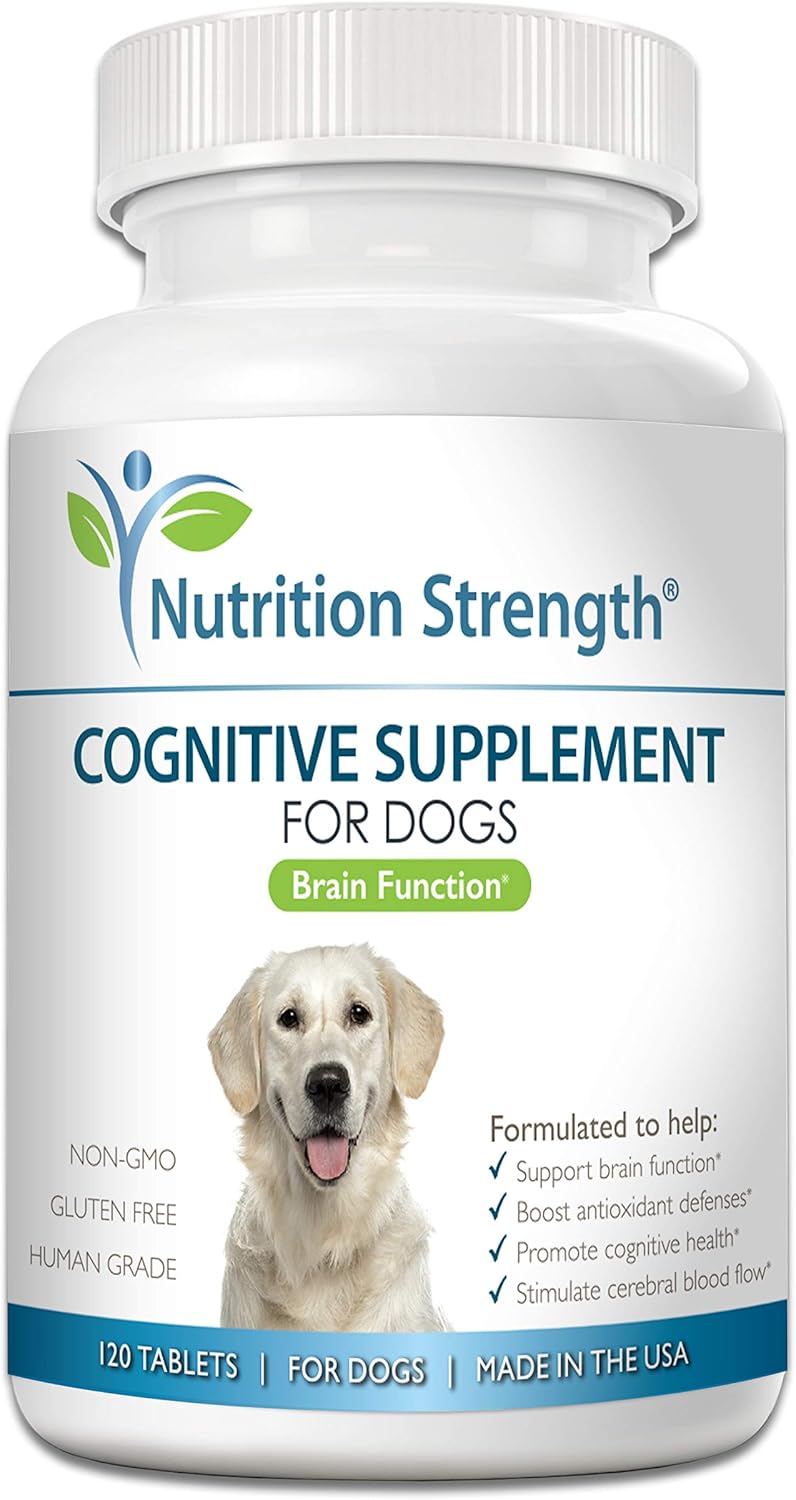 Cognitive Support for Dogs - Promote Brain Health with Chews