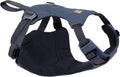 Load Up Dog Car Harness - Secure, Padded Travel Restraint