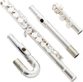Silver Plated C Flute with Curved Head Joint - Beginner Friendly