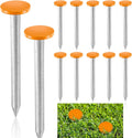 Survey Marker Stakes 12 Pack - Low Profile Galvanized Orange