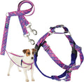 Freedom No-Pull Harness & Training Leash for Small Dogs - Gentle