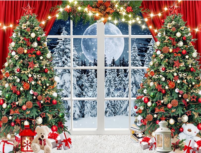 CHAIYA 12X10FT Christmas Window Backdrop for Stunning Photos