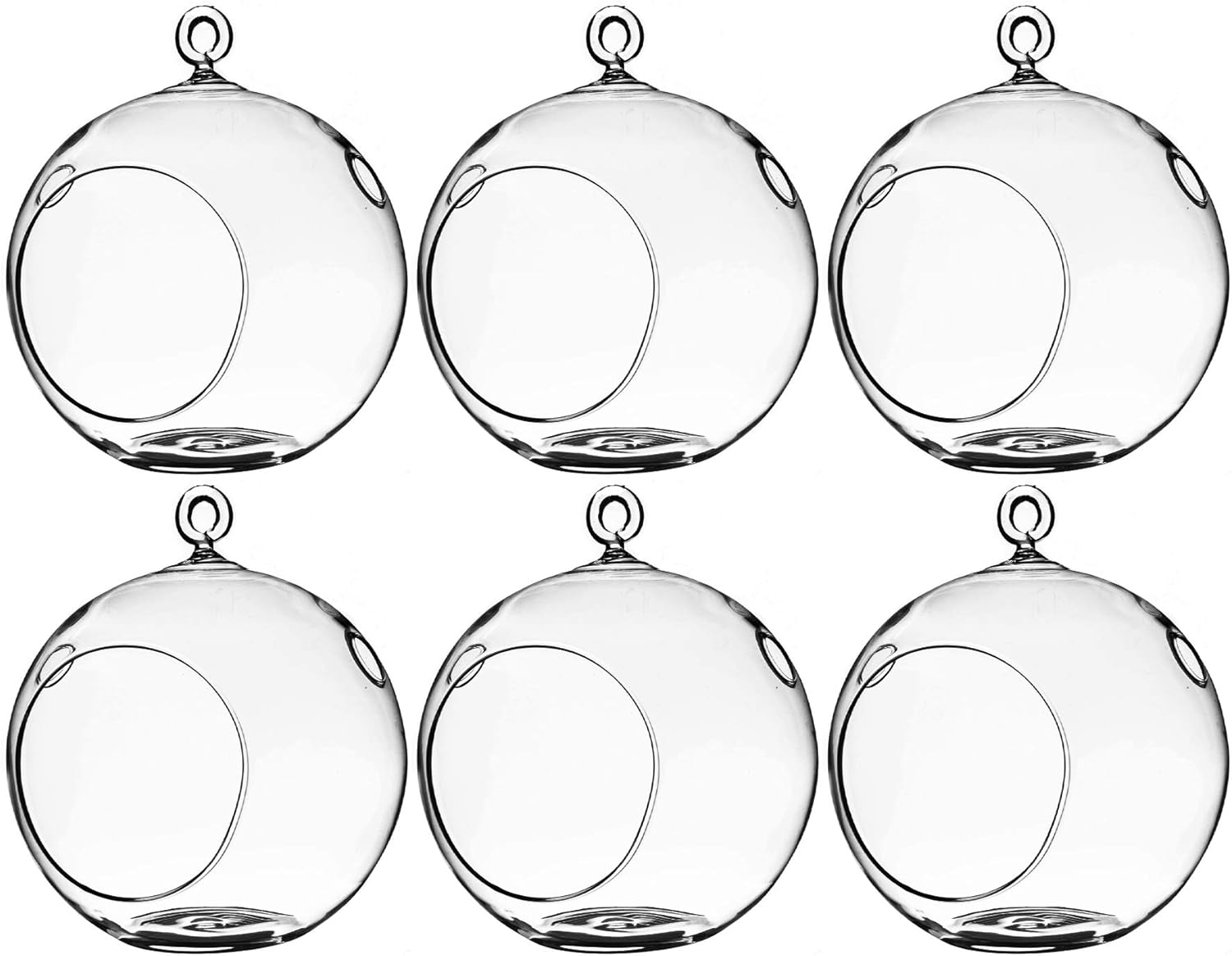 WGV Hanging Terrarium Globe for DIY Air Succulent Planter