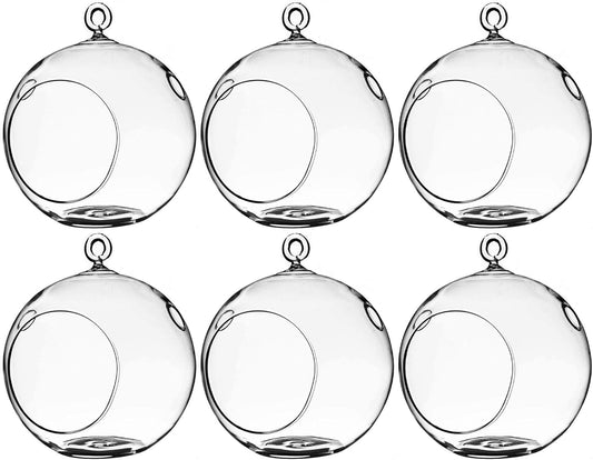 WGV Hanging Terrarium Globe for DIY Air Succulent Planter