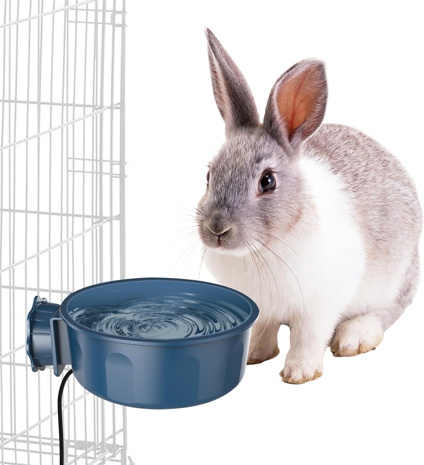 600ML Indoor Heated Water Bowl for Pets - Keep Pets Warm!