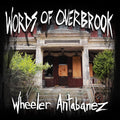 Words of Overbrook - Visual Poetry from an Abandoned Asylum