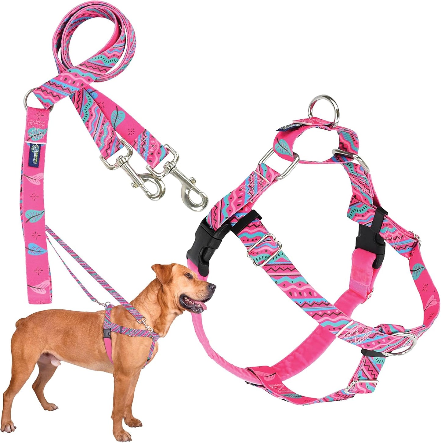 Freedom No-Pull Harness & Training Leash for Large Dogs