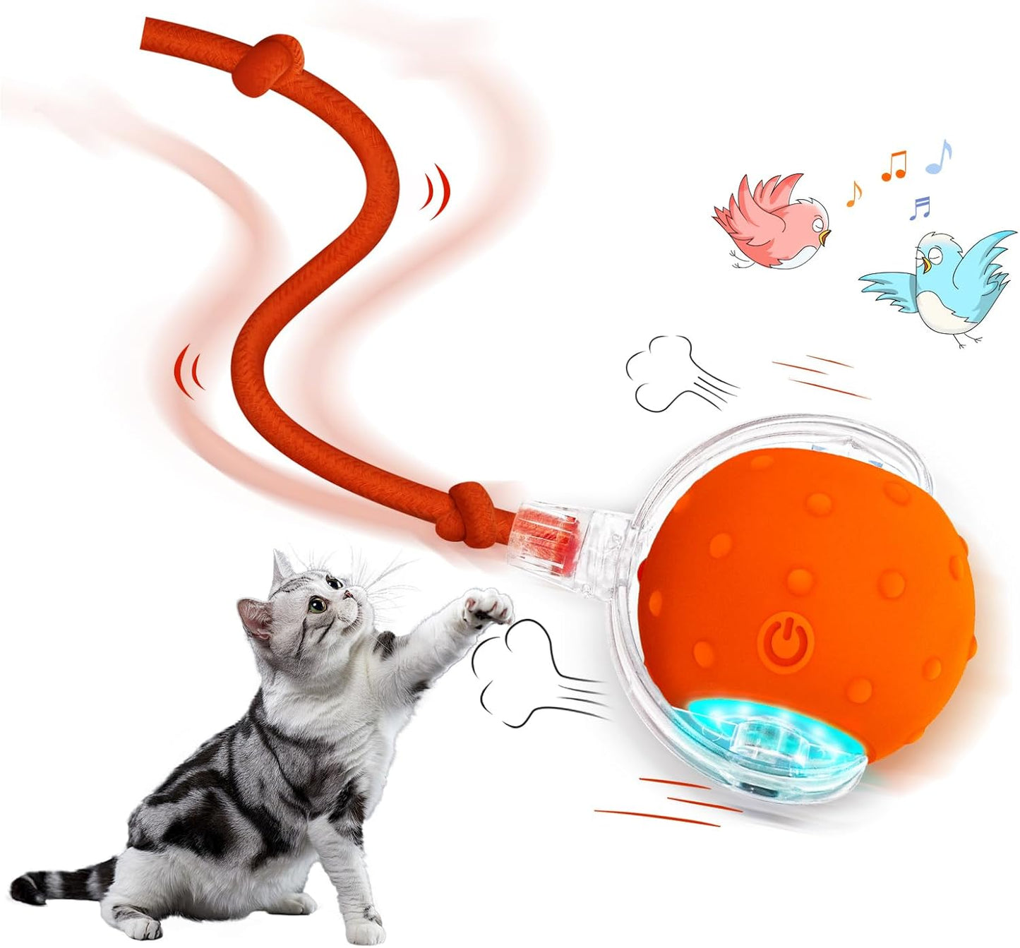 Fast-Moving Chirping Cat Ball for Indoor Play