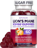 Sugar Free Lions Mane Supplement Gummies - Cognitive Focus & Stress