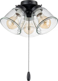 Ceiling Fan Light Kit Matte Black with Clear Glass Shades - Easy