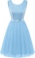 BeryLove Sequin Dress Vintage A Line Mini Cocktail Dress - Sparkly has