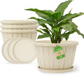 Quarut Plant Planters 4 Pack 16 in Whiskey Barrel Style - Durable