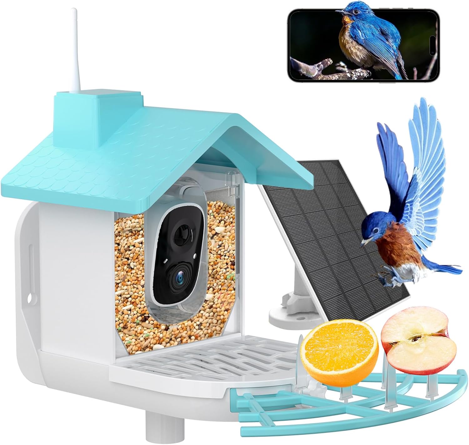 Solar Smart Bird Feeder with Camera - Squirrel Proof, Night Vision, 1080P
