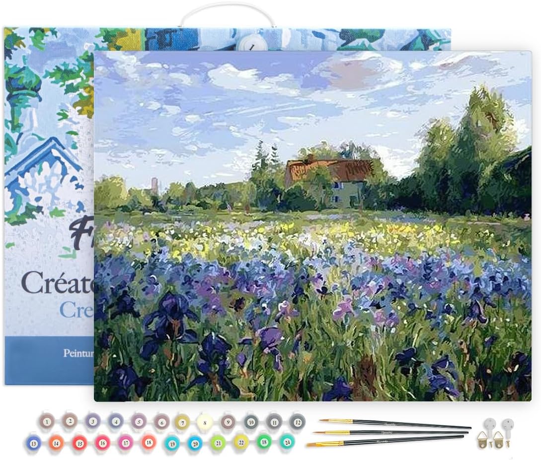 Figured'Art Paint by Numbers Kit for Adults with Frame 16x20
