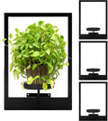 Black Metal Window Plant Shelves 4 Pack - Stylish Wall and Window