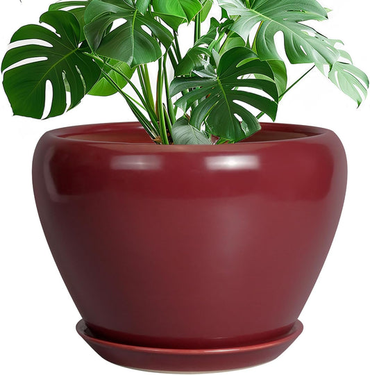 10 Inch Ceramic Plant Pot with Drainage Hole for Indoor Plants